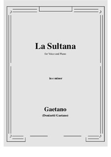 La Sultana: E minor by Gaetano Donizetti