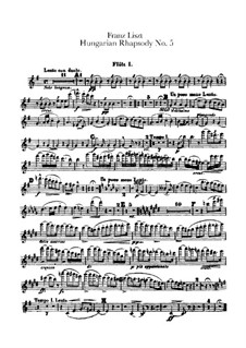 No.5 in E Minor, for Orchestra, S.621/5: Flutes I-II parts by Franz Liszt