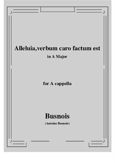 Alleluia, verbum caro factum est: F Major by Antoine Busnois