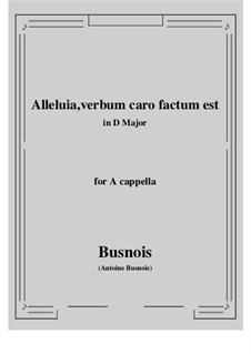 Alleluia, verbum caro factum est: D Major by Antoine Busnois