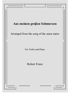 Twelve Songs, Op.5: No.1 Aus meinen groβen Schmerzen, for Violin and Piano by Robert Franz