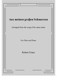 Twelve Songs, Op.5: No.1 Aus meinen groβen Schmerzen, for Flute and Piano by Robert Franz