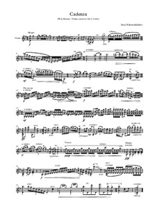sympatisk mini Snavs Cadenza (W. A. Mozart - Violin concerto No.3, I mvt) by I. Naborshchikov on  MusicaNeo