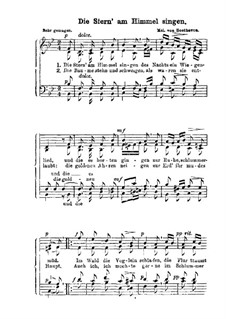 Die Stern' am Himmel singen: Die Stern' am Himmel singen by Ludwig van Beethoven