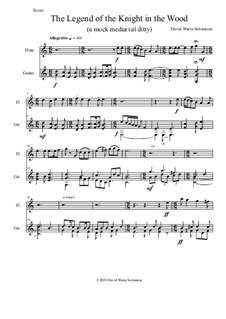 The legend of the knight in the wood: For flute and guitar by David W Solomons
