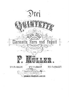 Wind Quintet No.2 in C Minor: Wind Quintet No.2 in C Minor by Peter Müller