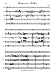 Flute concerto Nr.2 B-Dur (version for Flute and String orchestra): Flute concerto Nr.2 B-Dur (version for Flute and String orchestra) by Johann Baptist Vanhal