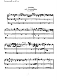 Chorale Preludes and Magnificats: For organ, BuxWV 177-200 by Dietrich Buxtehude