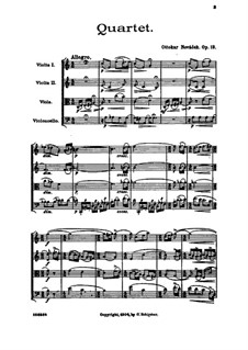 String Quartet in C Major, Op.13: String Quartet in C Major by Ottokar Nováček
