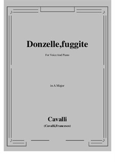Donzelle, fuggite: A Major by Pietro Francesco Cavalli