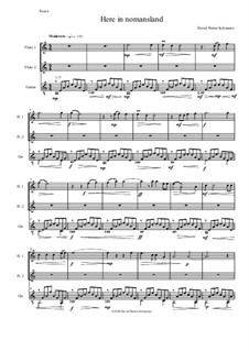 Here in Nomansland (A Meditation in the Vosges): For two flutes and guitar by David W Solomons