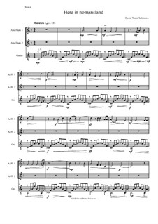 Here in Nomansland (A Meditation in the Vosges): For two alto flutes and guitar by David W Solomons