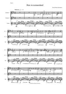 Here in Nomansland (A Meditation in the Vosges): For two clarinets and guitar by David W Solomons