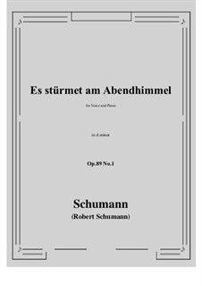 Six Songs, Op.89: No.1 Es stürmet am Abendhimmel (d minor) by Robert Schumann
