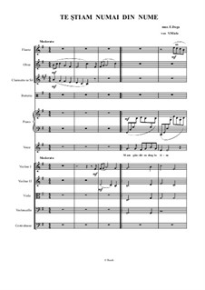 Te ştiam numai din nume: For voice and chamber orchestra by Eugen Doga