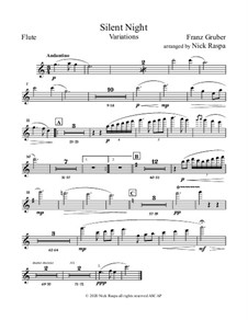 Variations: For full orchestra – Flute part by Franz Xaver Gruber