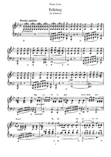 Erlkönig (Forest King), D.328 Op.1: Arrangement for piano by Franz Schubert