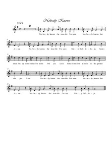 Nobody Knows the Trouble I've Seen: For voice and piano by folklore