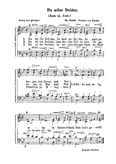 Du edler Dulder (Zum 15. Juni): Du edler Dulder (Zum 15. Juni) by Theodor Draht