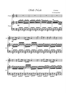 Solo instrument and piano: For flute and piano by Franz Xaver Gruber