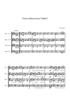 Jodler: Zwoa schneeweisse Täuberl: Jodler: Zwoa schneeweisse Täuberl by Josef Gauby