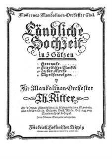 Wedding in the Countryside: Wedding in the Countryside by Theodor Ritter
