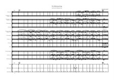 The Wellerman: For symphonic orchestra by folklore