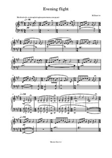 Evening flight, Op.123: Evening flight by Maxim Zinov'ev