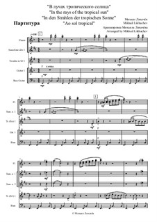 In the rays of the tropical sun: For wind band by Mikhail Likhachov