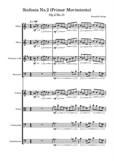 Sinfonía No.2, Op.2 No.11: Primer movimiento by Beautiful things Martínez