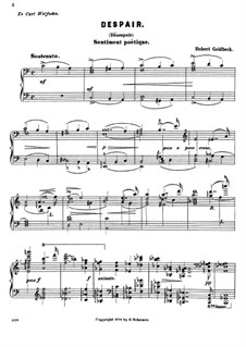 Sentiments Poetiques: Despair by Robert Goldbeck