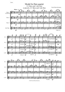 Modal: For flute quartet (3 C flutes (or Piccolo, 2 C Flutes) and 1 Alto Flute) by David W Solomons