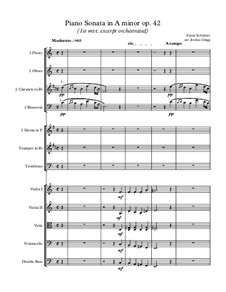 Sonata for Piano No.16 in A Minor, D.845 Op.42: Movement I (excerpt orchestrated) by Franz Schubert