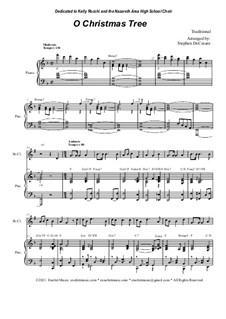 Instrumental version by S. DeCesare: For Bb-Clarinet solo and Piano by folklore