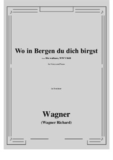 The Valkyrie , WWV 86b: Wo in Bergen du dich birgst (b minor) by Richard Wagner