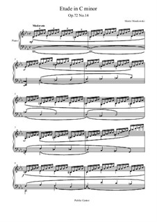 Fifteen Virtuosic Etudes, Op.72: Etude No.14 by Moritz Moszkowski