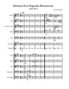 Sinfonía No.5, Op.5 No.2: Segundo movimiento by Beautiful things Martínez