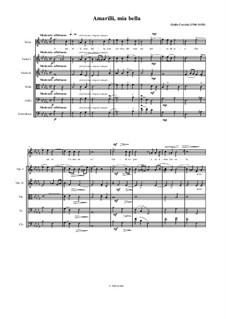 Amarilli, mia bella: For voice and chamber orchestra by Giulio Caccini