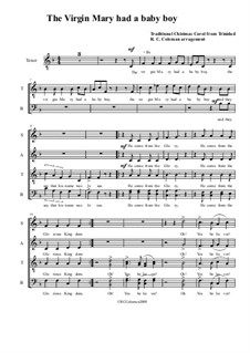 The Virgin Mary Had a Baby Boy: For chamber orchestra by folklore