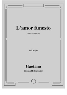 L'amor funesto. Romance: D Major by Gaetano Donizetti