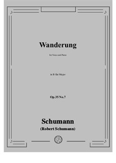 No.7 Wanderung (Wandering): B flat Major by Robert Schumann