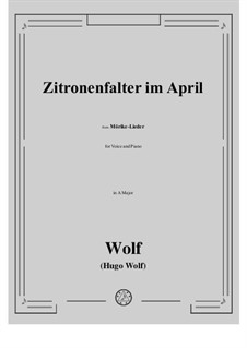 Book II: No.18 Zitronenfalter im April in A Major by Hugo Wolf