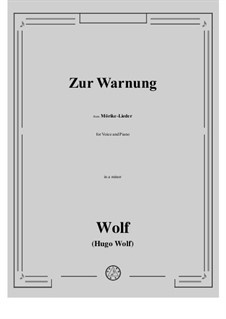 Book IV: No.49 Zur Warnung in a minor by Hugo Wolf