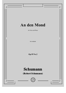 No.2 An den Mond: A minor by Robert Schumann