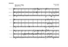The Mindset Nonet, Op.242: No.3 Waltz by Richard Burdick