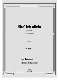 No.5 Sitz' ich allein (Chansons à boire): For voice and piano by Robert Schumann