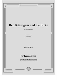 Three Poems, Op.119: No.3 Der Brautigam und die Birke by Robert Schumann