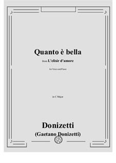 L'elisir d'amore (The Elixir of Love): Quanto è bella, quanto è cara! by Gaetano Donizetti