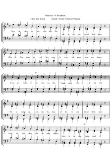 Winterreise, Nr.73-105, Op.23: Nr.103 Dwaallicht. Lied Nr.9 für 4-stimmigen Männerchor (TTBB) by Werner Schneider-Wiegand