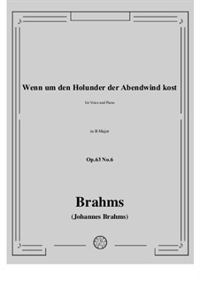Romances and Songs, Op.63: Nr.6 Wenn um den Hollunder by Johannes Brahms
